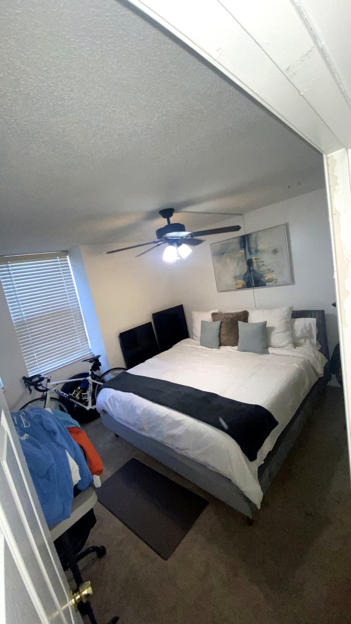 Second bedroom with ceiling fan and window light